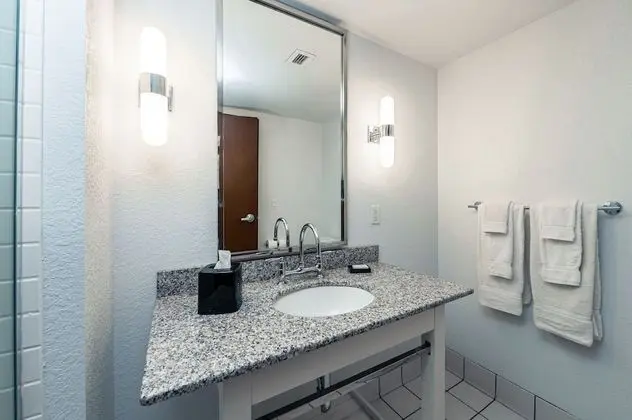 Deluxe Oda, 1 En Büyük (King) Boy Yatak, Balkon, Park Manzaralı (Premium King, Balcony)