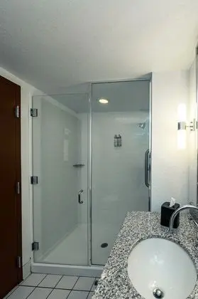 Deluxe Oda, 1 En Büyük (King) Boy Yatak, Balkon, Park Manzaralı (Premium King, Balcony)