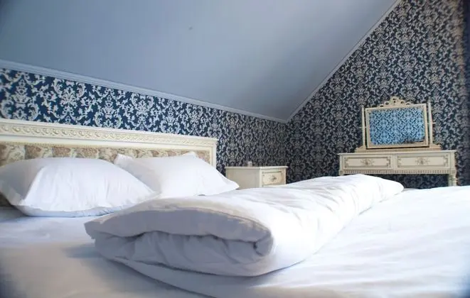 Comfort Tek Büyük Yataklı Oda (Ludovikos)