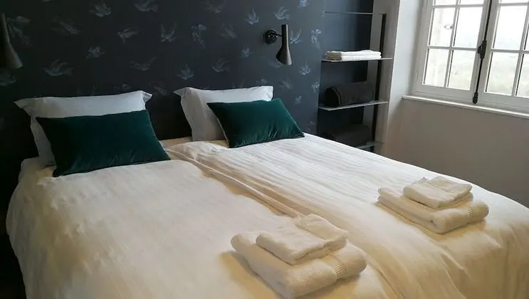 Superior İki Ayrı Yataklı Oda, Banyolu/Duşlu, Park Manzaralı (Tower Room)