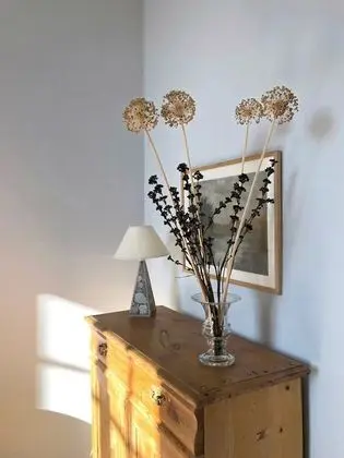 Superior Tek Büyük Yataklı Oda, Banyolu/Duşlu, Park Manzaralı ( SWEDISH GRACE)