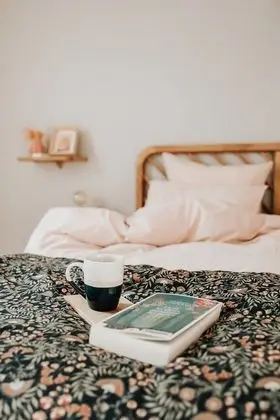 Süit, Banyolu/Duşlu, Üzüm Asması Manzaralı (La Douce)
