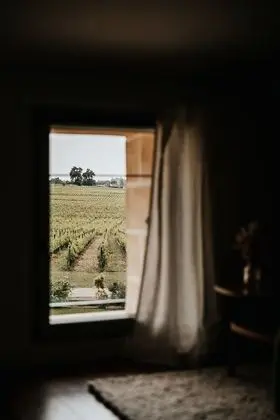 Süit, Banyolu/Duşlu, Üzüm Asması Manzaralı (La Douce)
