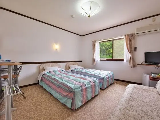 Deluxe İki Ayrı Yataklı Oda (with Sofa Bed)