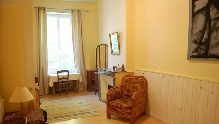 Standard Tek Büyük Yataklı Oda, Sigara İçilmez, Park Manzaralı (Syrah)