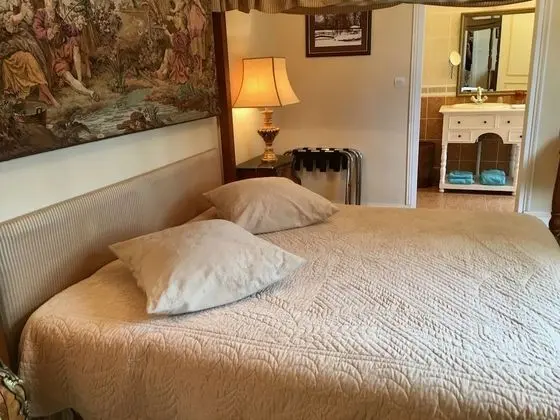 Superior Tek Büyük veya İki Ayrı Yataklı Oda, Özel Banyo, Park Manzaralı (3)