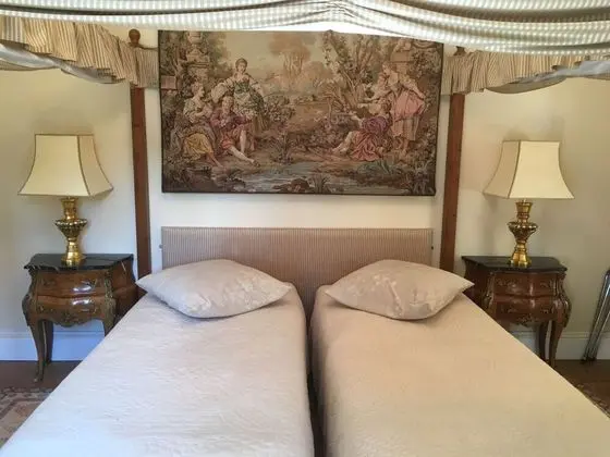 Superior Tek Büyük veya İki Ayrı Yataklı Oda, Özel Banyo, Park Manzaralı (3)