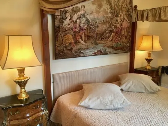 Superior Tek Büyük veya İki Ayrı Yataklı Oda, Özel Banyo, Park Manzaralı (3)