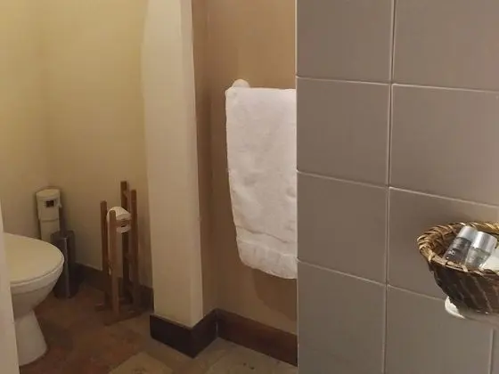 Superior Tek Büyük Yataklı Oda, Bahçe Manzaralı (Seigneuriale)