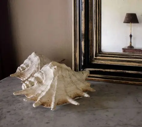 Superior Tek Büyük Yataklı Oda, Banyolu/Duşlu, Park Manzaralı (Pastorale)