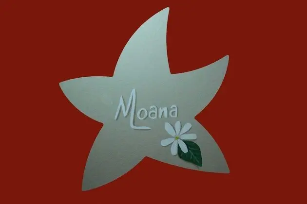Tek Büyük Yataklı Oda (Moana)