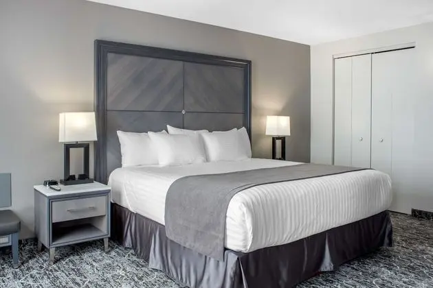 Deluxe Süit, 1 En Büyük (King) Boy Yatak, Sigara İçilmez (One Bedroom, Deluxe Junior Suite)