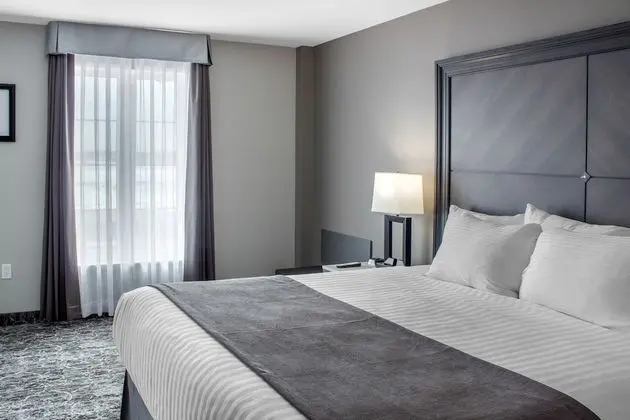 Deluxe Süit, 1 En Büyük (King) Boy Yatak, Sigara İçilmez (One Bedroom, Deluxe Junior Suite)