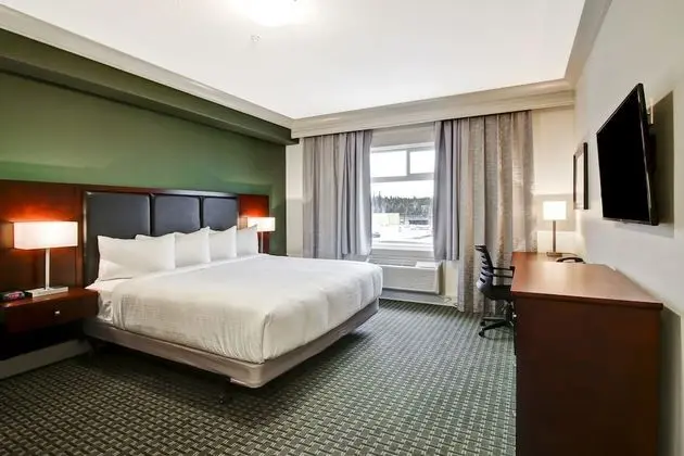 Oda, 1 En Büyük (King) Boy Yatak, Buzdolabı ve Mikrodalga