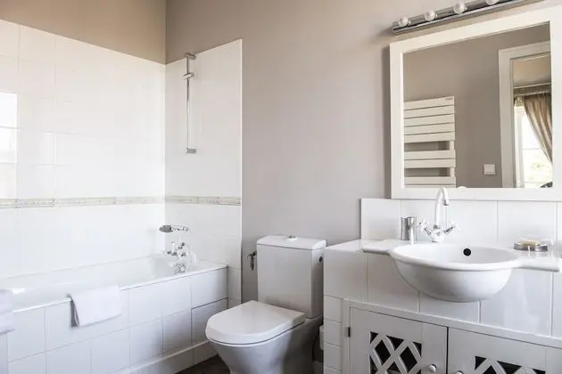 Superior Tek Büyük veya İki Ayrı Yataklı Oda, Banyolu/Duşlu