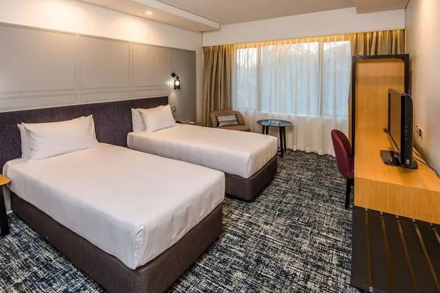 Deluxe Oda, 2 Tek Kişilik Yatak, Sigara İçilmez