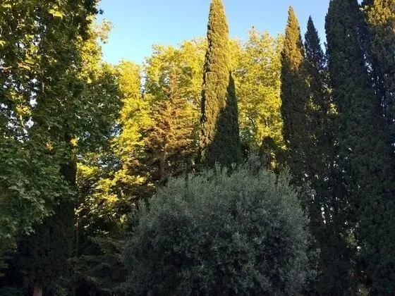 Deluxe Tek Büyük veya İki Ayrı Yataklı Oda, Banyolu/Duşlu, Bahçe Manzaralı (Grand Parc)