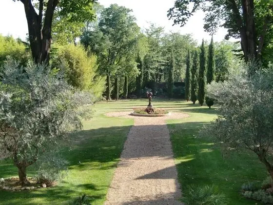 Standard Tek Büyük Yataklı Oda, Park Manzaralı