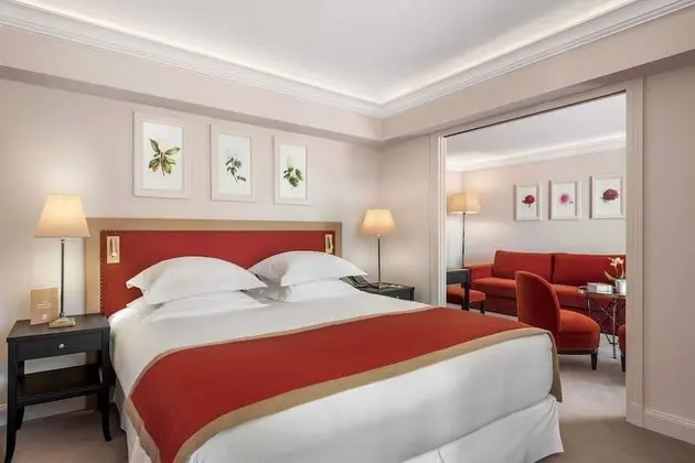 Superior Oda, Park Manzaralı