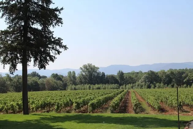 Classic Tek Büyük Yataklı Oda