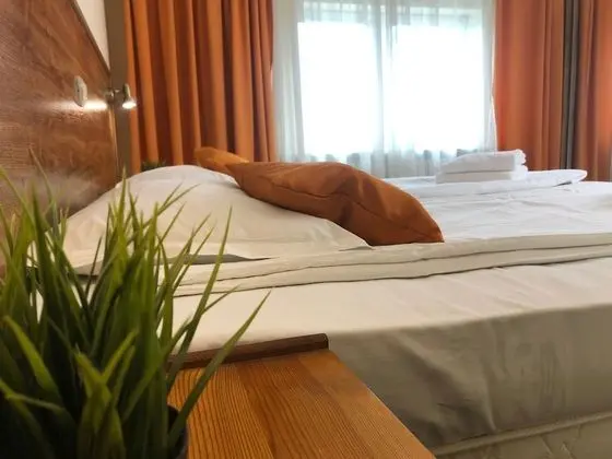 Economy Tek Büyük Yataklı Oda, Dağ Manzaralı