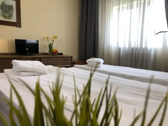 Standard Tek Büyük Yataklı Oda, Dağ Manzaralı