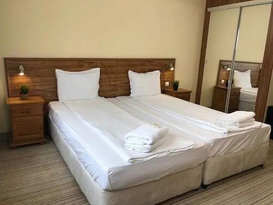 Standard Tek Büyük Yataklı Oda, Dağ Manzaralı