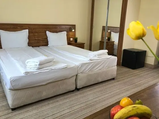 Standard Tek Büyük Yataklı Oda, Dağ Manzaralı
