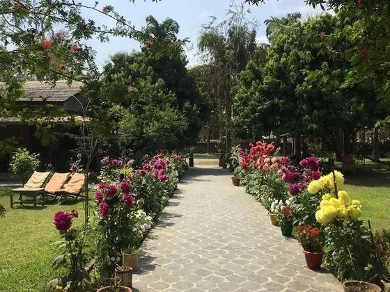 Deluxe Üç Kişilik Oda, 1 Yatak Odası
