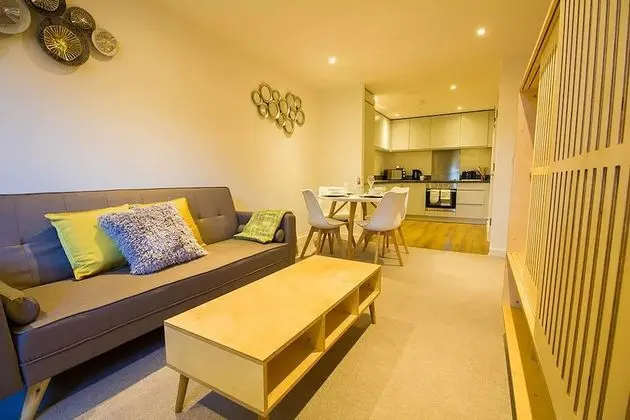 Premier Apart Daire, 1 Çift Kişilik Yatak, Şehir Manzaralı