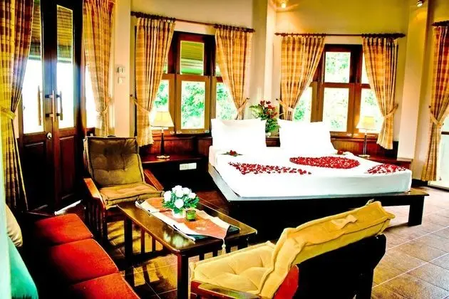 Superior Oda, 1 En Büyük (King) Boy Yatak, Balkon, Bahçe Manzaralı (Grand Executive Jacuzzi Villa)