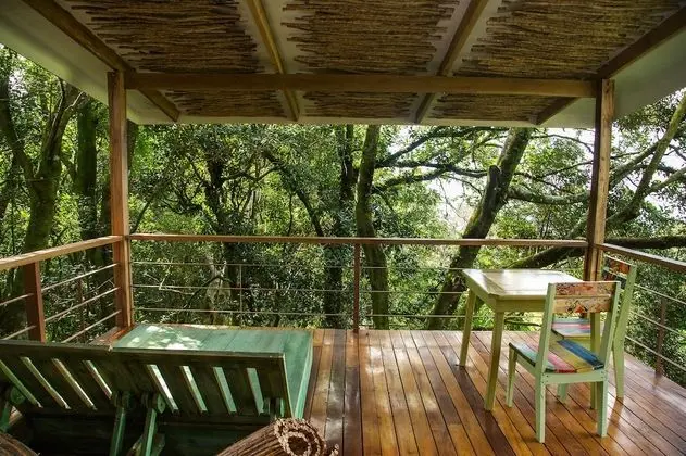 Forest View Suite