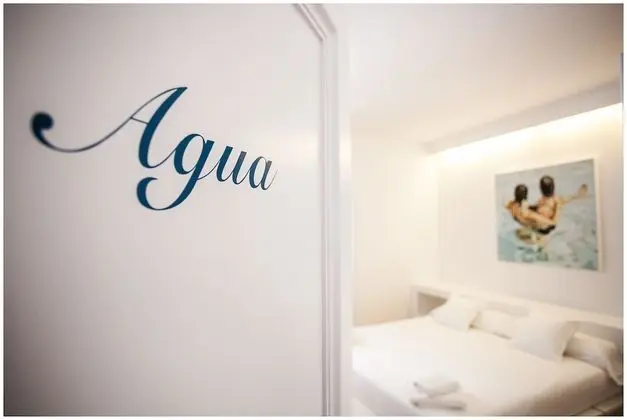 Süit