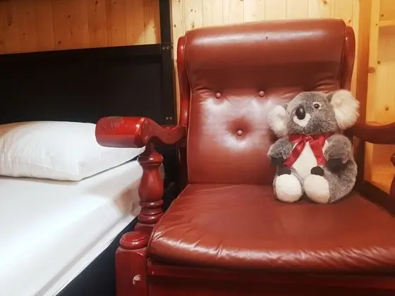 Ortak Ranzalı Oda (1 Bed in 4-People Dorm)