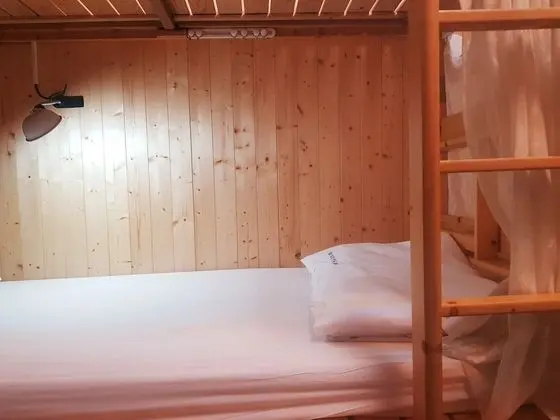Ortak Ranzalı Oda (1 Bed in 6-people Dorm)