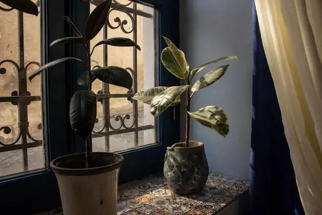 Comfort Üç Kişilik Oda