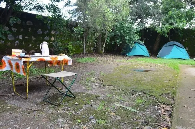 Comfort Kulübe, 1 Tek Kişilik Yatak, Bahçe Manzaralı, Bahçeli
