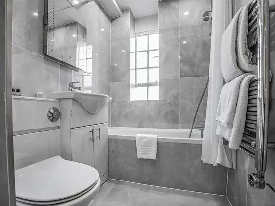 Business Çatı Katı Süiti (Penthouse)