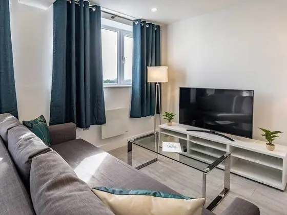 Business Çatı Katı Süiti (Penthouse)