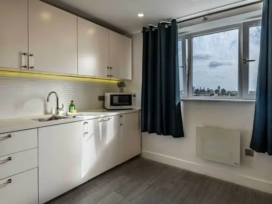 Business Çatı Katı Süiti (Penthouse)