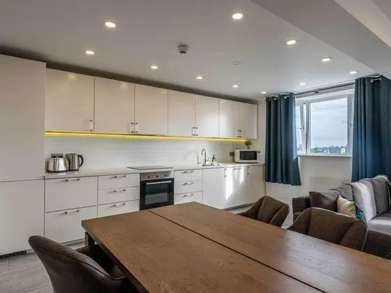 Business Çatı Katı Süiti (Penthouse)