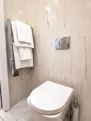 Business Çatı Katı Süiti (Penthouse)