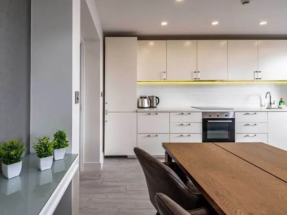 Business Çatı Katı Süiti (Penthouse)
