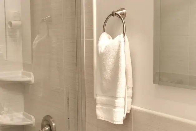 Stüdyo, 1 Çift Kişilik Yatak, Özel Banyo