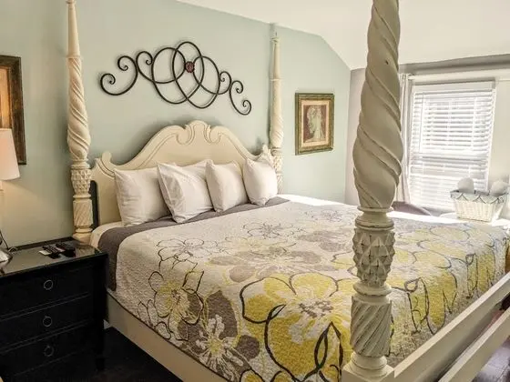 Premium Oda, 1 En Büyük (King) Boy Yatak, Sigara İçilmez (Room 207)