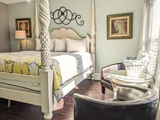 Premium Oda, 1 En Büyük (King) Boy Yatak, Sigara İçilmez (Room 207)