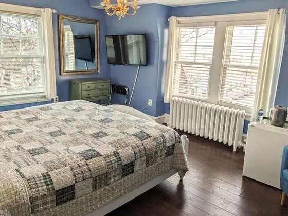 Premium Oda, 1 En Büyük (King) Boy Yatak, Sigara İçilmez (Room 207)