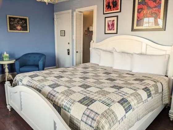Premium Oda, 1 En Büyük (King) Boy Yatak, Sigara İçilmez (Room 207)