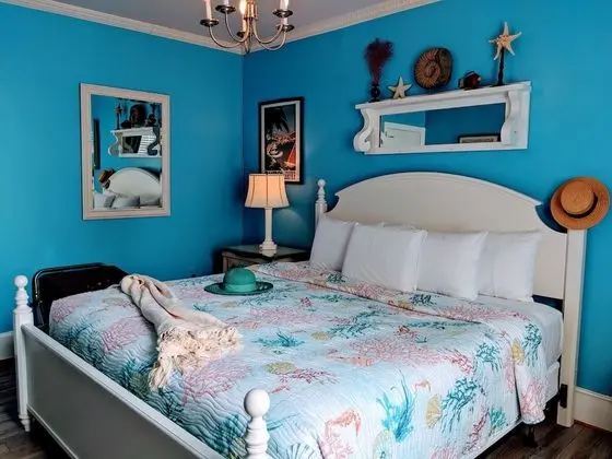 Premium Oda, 1 En Büyük (King) Boy Yatak, Sigara İçilmez (Room 207)