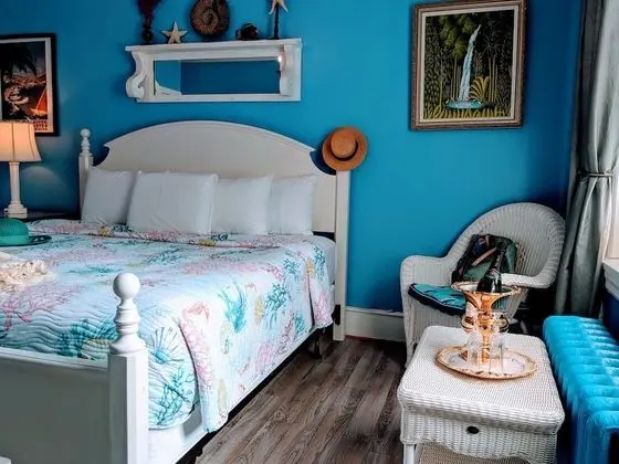 Premium Oda, 1 En Büyük (King) Boy Yatak, Sigara İçilmez (Room 207)